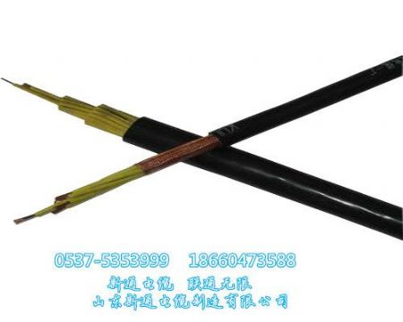 点击查看详细信息<br>标题：【矿用控制电缆MKVV/MKVVP】矿用控制电缆生产厂家/控制电缆参数MKVVR 阅读次数：2244