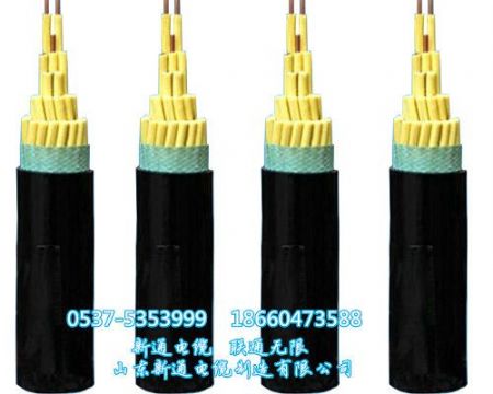 点击查看详细信息<br>标题：矿用控制电缆护套编织屏蔽控制电缆MKVVP-450/750/矿用控制电缆型号一览/山东新通电缆 阅读次数：3978