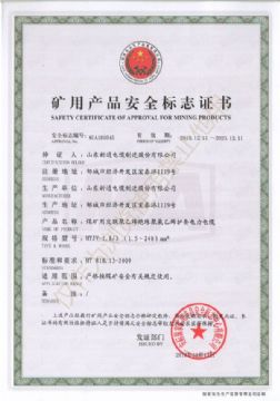 点击查看详细信息<br>标题：MYJV 1.8/3KV煤矿用交联聚乙烯绝缘聚氯乙烯护套电力电缆 阅读次数：3498